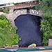 BucketList + Go Bungee Jumping In New ... = ✓