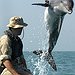 BucketList + Go Swim With Dolphins. = ✓