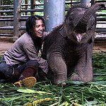 BucketList + Visit Elephant Nature Park = ✓