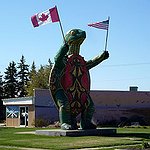BucketList + Train A Turtle For A ... = ✓