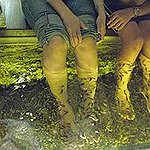 BucketList + Get A Fish Pedicure = ✓