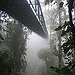 BucketList + Walk Borneo Rainforest Canopy Walkway = ✓