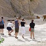 BucketList + Visit The Tiger Sanctuary In ... = ✓