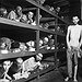 BucketList + Walk Through A Concentration Camp ... = ✓