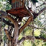 BucketList + Live In A Treehouse = ✓