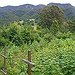 BucketList + Go Wwoofing = ✓