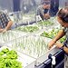 BucketList + Learn Hydroponic Growing = ✓
