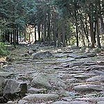 BucketList + Hike Nakasendo Samurai Trail = ✓