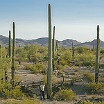 BucketList + Visit Saguaro National Park = ✓