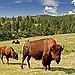BucketList + Visit Every State Park In ... = ✓