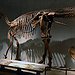 BucketList + Visit The Denver Museum Of ... = ✓