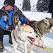 BucketList + Husky Ride In Lapland = ✓