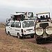 BucketList + Go On Safari In South ... = ✓