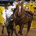 BucketList + Go To A Rodeo = ✓