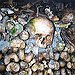 BucketList + See The Catacombs = ✓