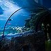 BucketList + Go To Aquarium = ✓