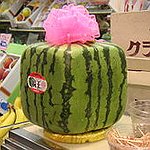 BucketList + Grow A Cube Watermelon = ✓