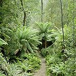 BucketList + Zip Line In Costa Rica ... = ✓