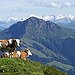 BucketList + Visit Edelweiss Resort In Austria = ✓