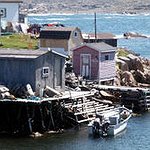 BucketList + See Newfoundland = ✓