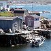 BucketList + See Newfoundland = ✓