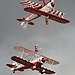 BucketList + Try Wing Walking = ✓