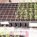BucketList + Grow My Own Fruit And ... = ✓