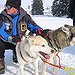 BucketList + Drive A Husky Sled = ✓