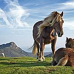 BucketList + Ride A Horse = ✓