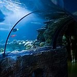 BucketList + Bristol Aquarium = ✓