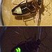 BucketList + See A Fire Fly = ✓