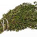 BucketList + Start An Herb Garden = ✓