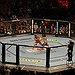 BucketList + Seriously Train In Mma = ✓