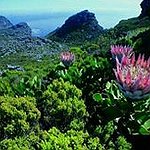 BucketList + Stand On Table Mountain = ✓