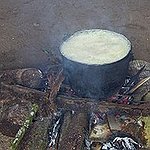 BucketList + Ayahuasca = ✓