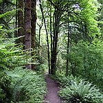 BucketList + Visit Portland = ✓