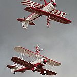 BucketList + Try Wing Walking = ✓