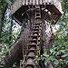 BucketList + Build A Tree House = ✓