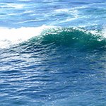BucketList + Try Surfing = ✓