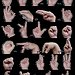BucketList + Learn A Sign Language = ✓