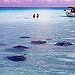 BucketList + Swim With Sting Rays = ✓
