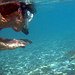 BucketList + Swim With Sharks (In A ... = ✓