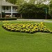 BucketList + Go To The Masters Golf ... = ✓
