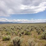 BucketList + Camp In The High Desert ... = ✓
