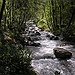 BucketList + Live In The Wild With ... = ✓