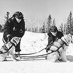 BucketList + Go Dog Sledding In Scandinavia! = ✓