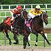 BucketList + Go To The Kentucky Derby = ✓