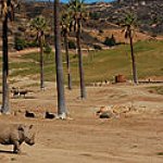 BucketList + Go To Safari Park In ... = ✓