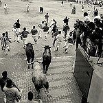 BucketList + Run With The Bulls In ... = ✓