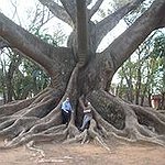BucketList + Plant A Tree. = ✓